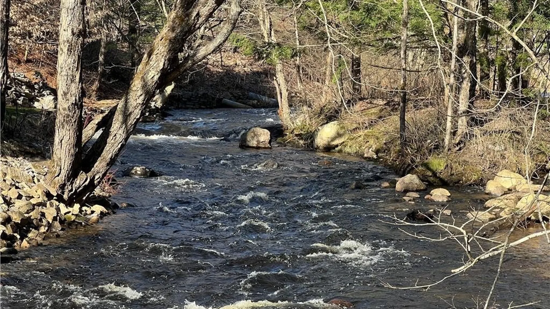 Property at 3153 Pines Road, Boonville, NY 13309 9