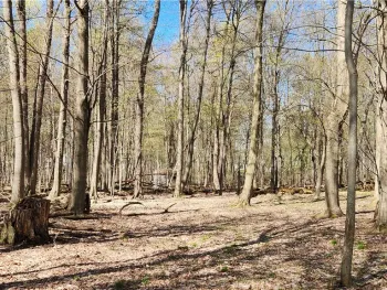 Property at Straub Road, Greece, NY 14626