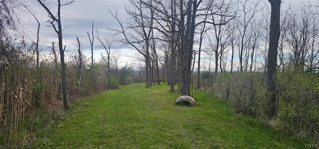 Property at 7500 County Road 131, Ovid, NY 14521