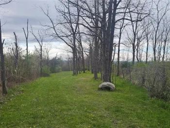 Property at 7500 County Road 131, Ovid, NY 14521
