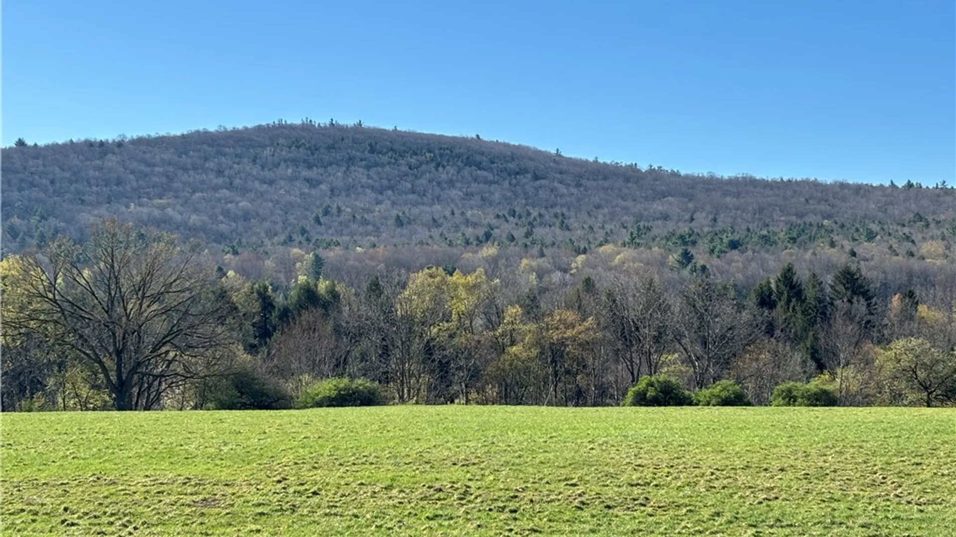Property at 6607 State Highway 7, Maryland, NY 12116 20
