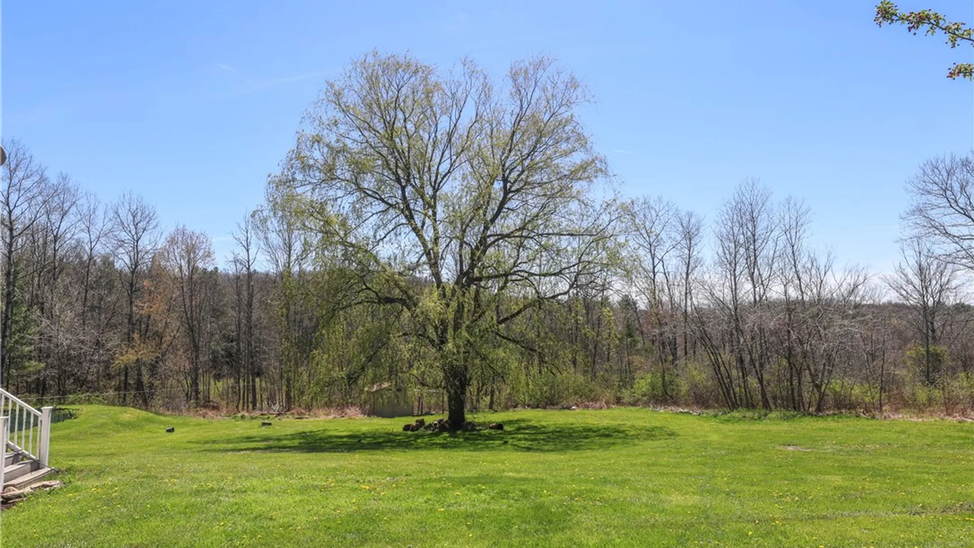 Property at 10181 Steamtown Road, Lindley, NY 14858 33