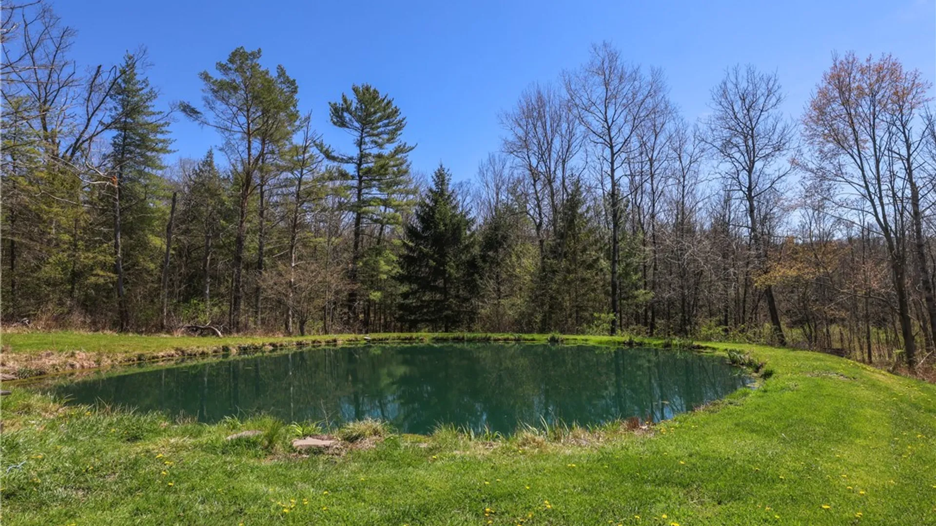 Property at 10181 Steamtown Road, Lindley, NY 14858 34