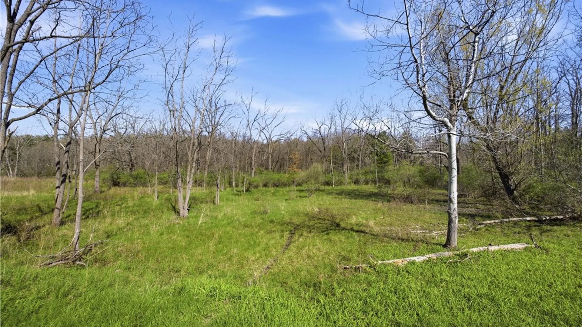 Property at 0 Shanty Plains Road, Jerusalem, NY 14527 7