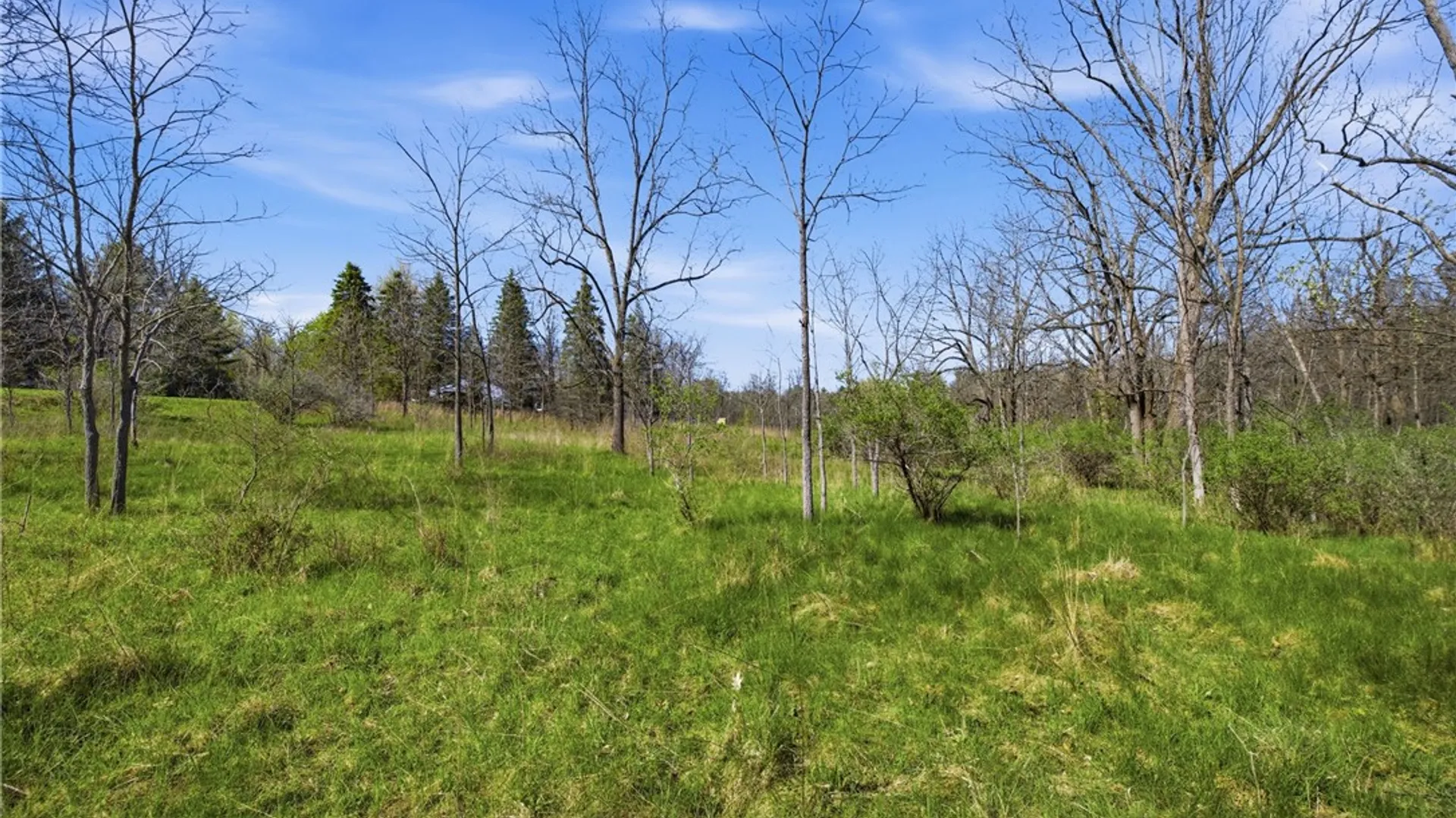 Property at 0 Shanty Plains Road, Jerusalem, NY 14527 11