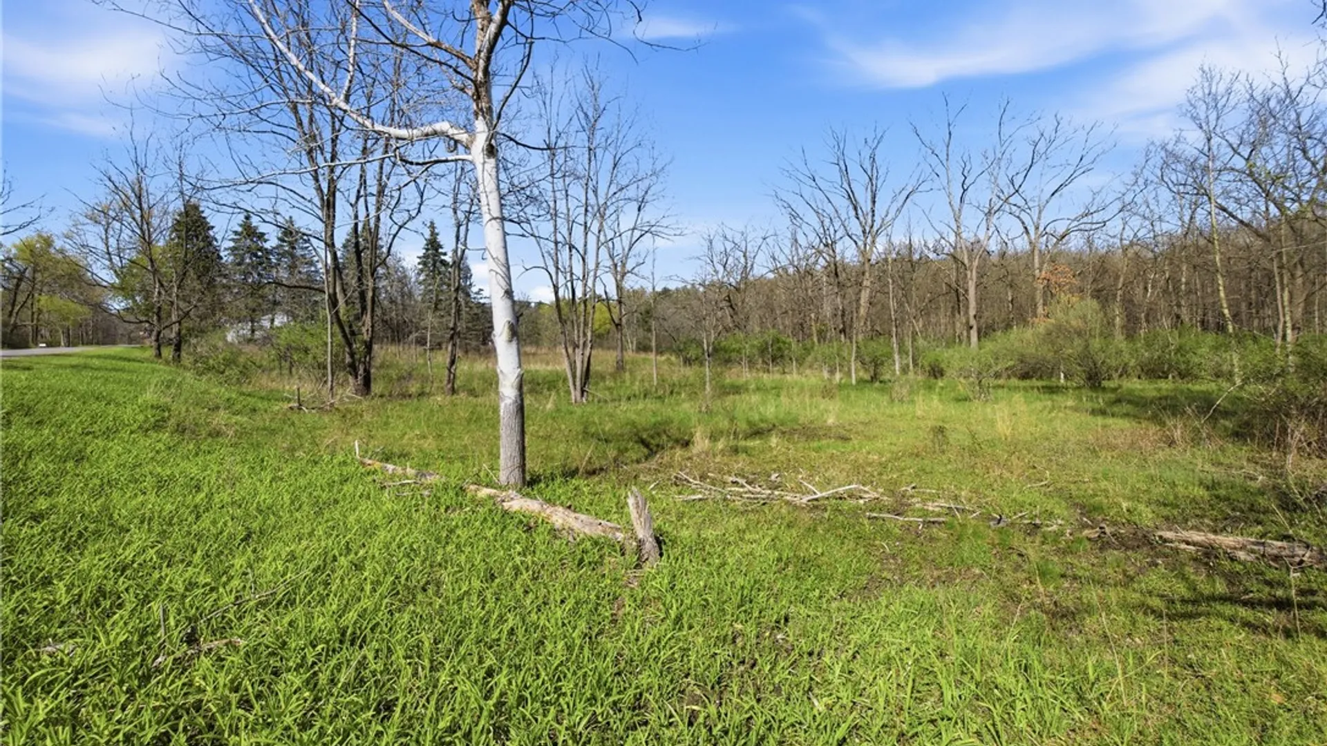 Property at 0 Shanty Plains Road, Jerusalem, NY 14527 12