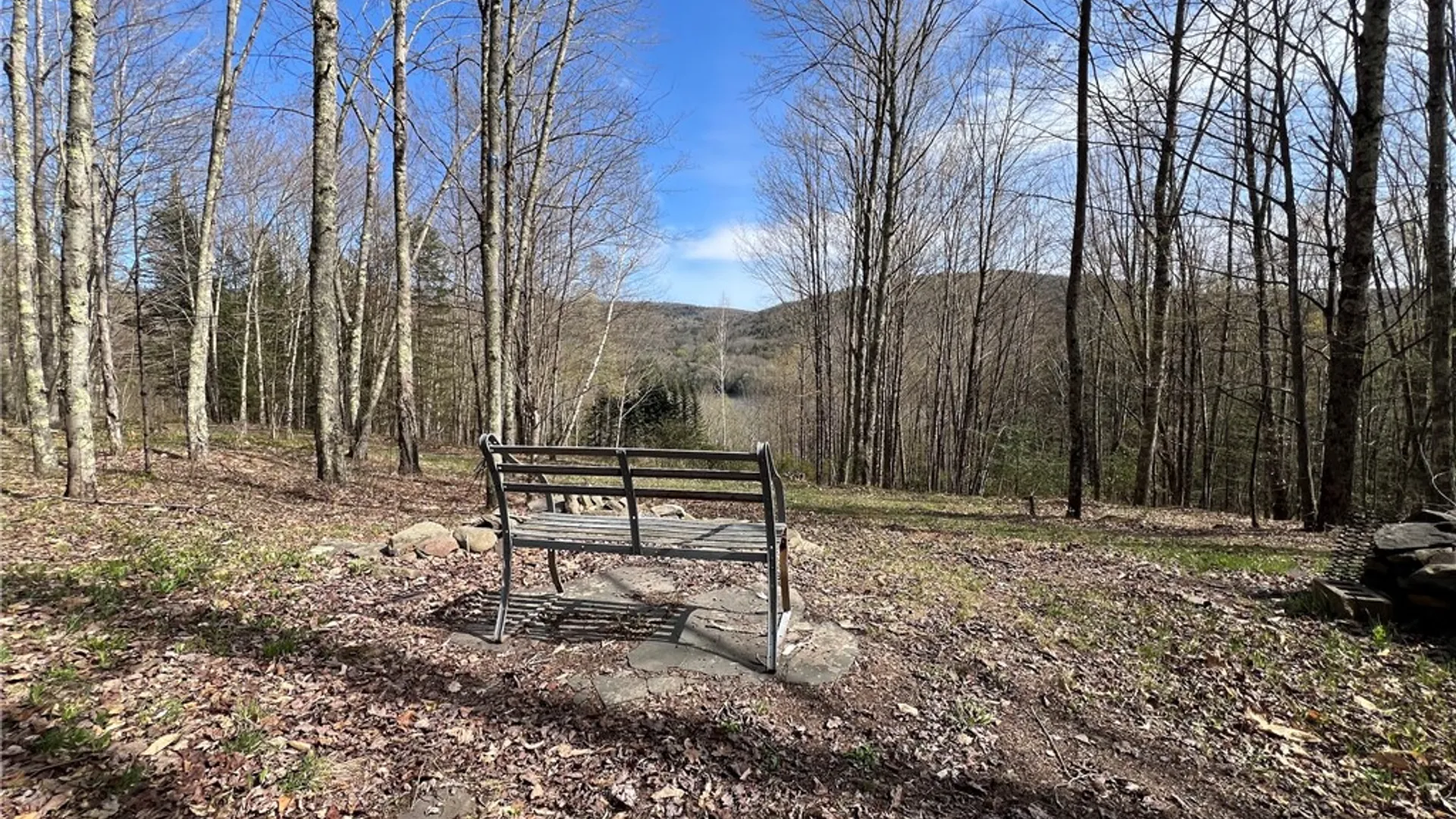 Property at State Highway 30, Andes, NY 13731 9