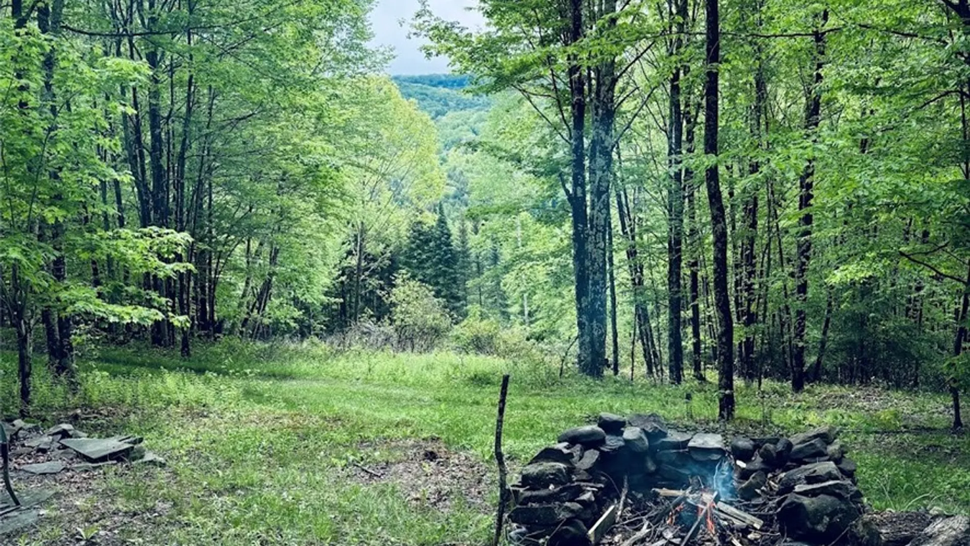 Property at State Highway 30, Andes, NY 13731 2