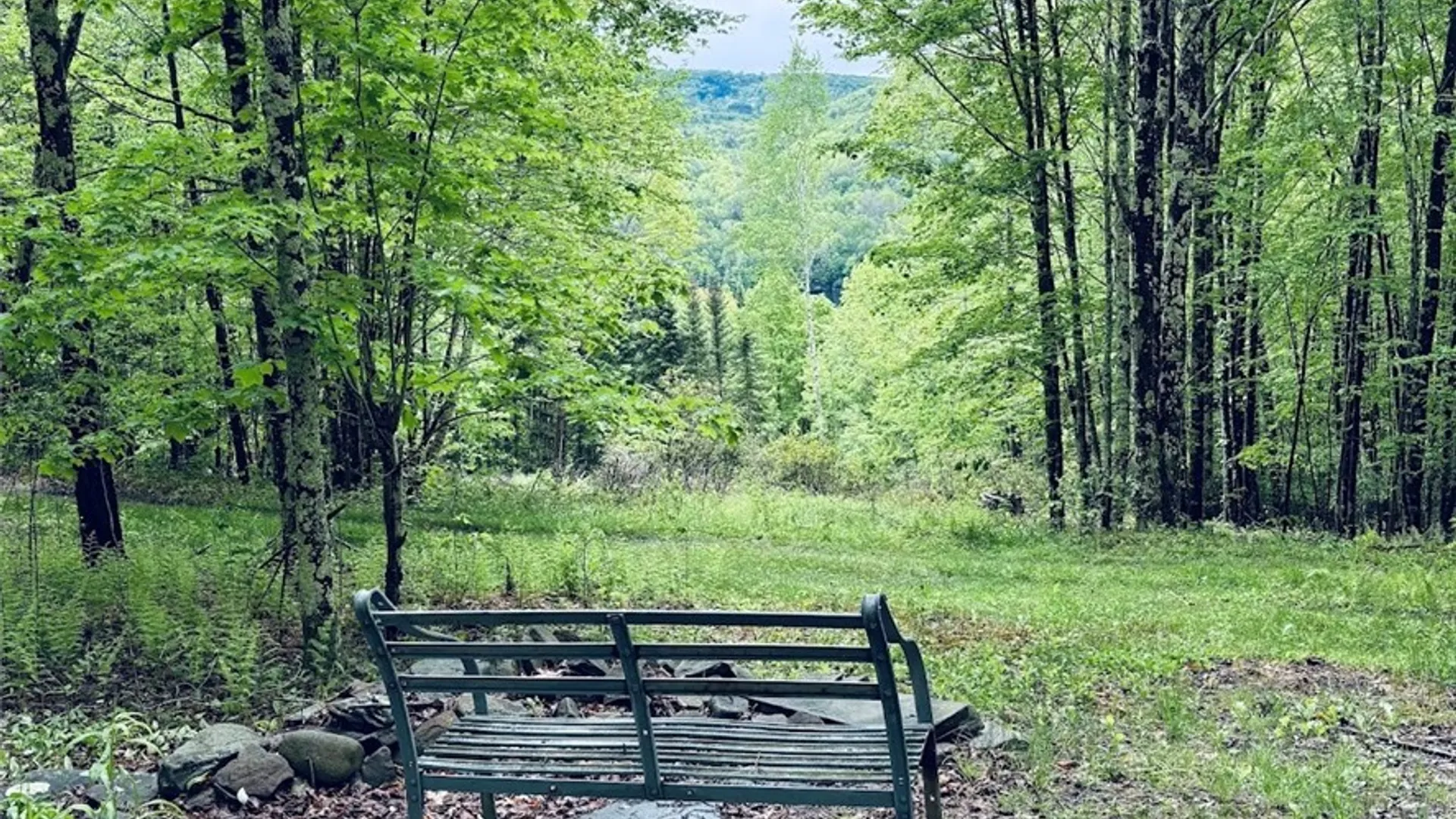 Property at State Highway 30, Andes, NY 13731 3