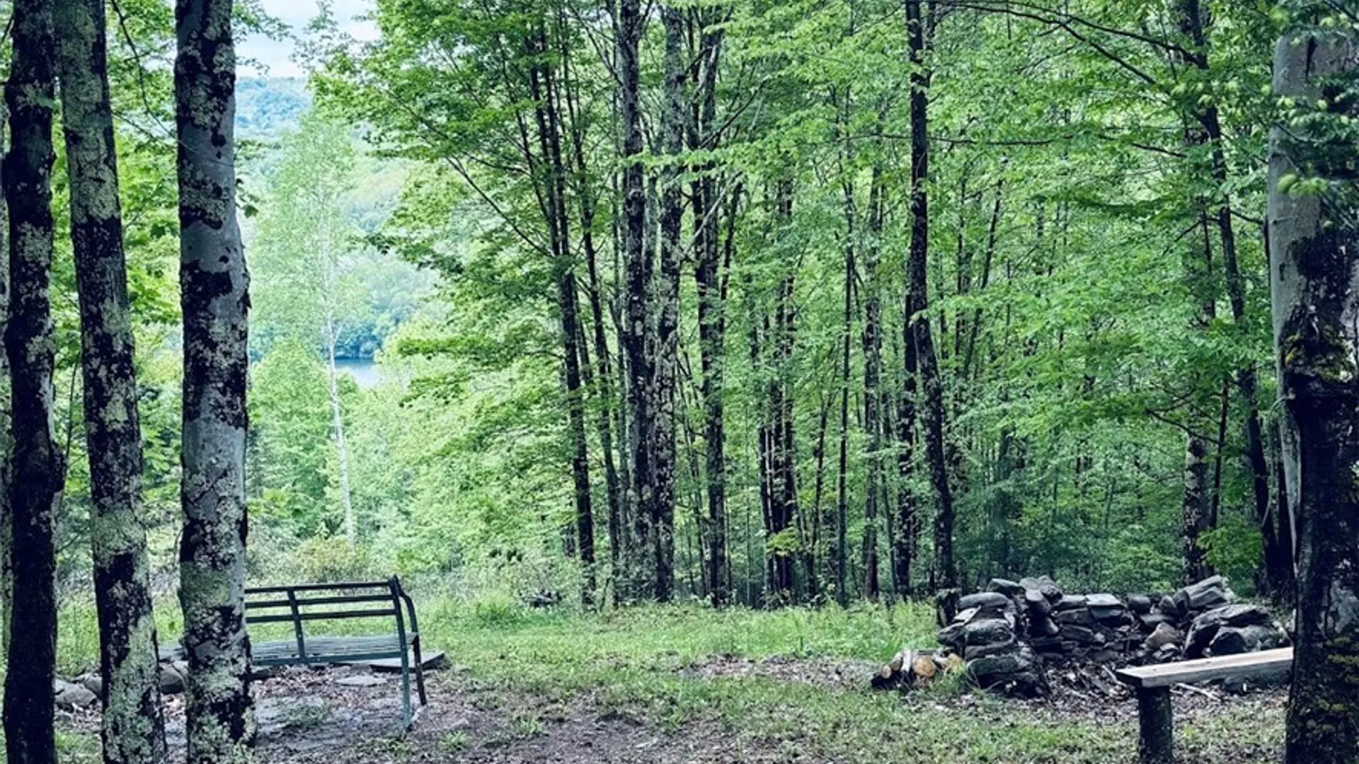 Property at State Highway 30, Andes, NY 13731 7