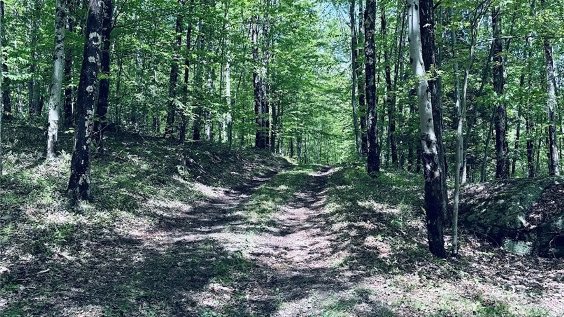 Property at State Highway 30, Andes, NY 13731 8