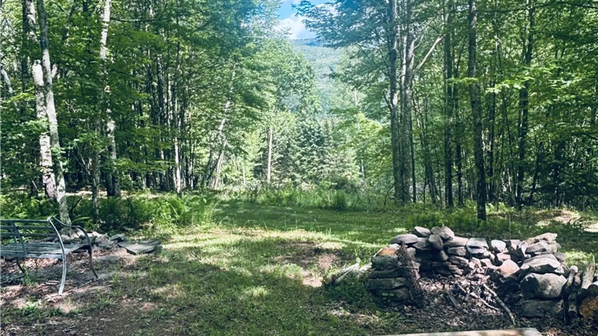 Property at State Highway 30, Andes, NY 13731 44