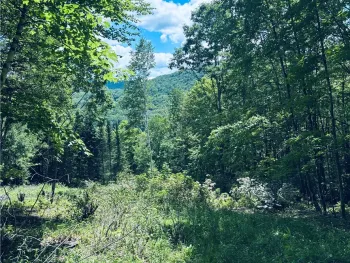 Property at State Highway 30, Andes, NY 13731