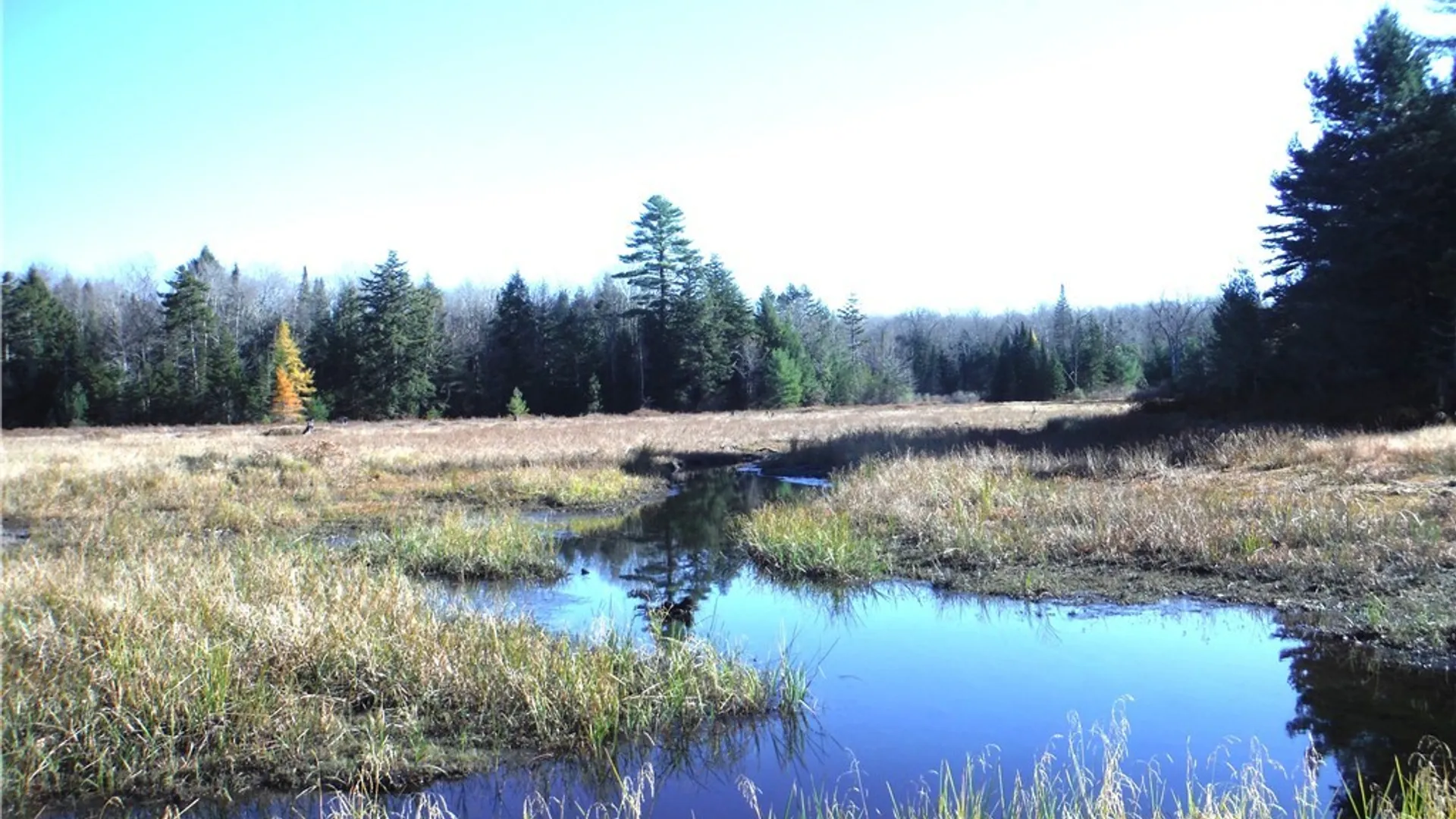 Property at 00X Buck Lake Road, Forestport, NY 13338 3