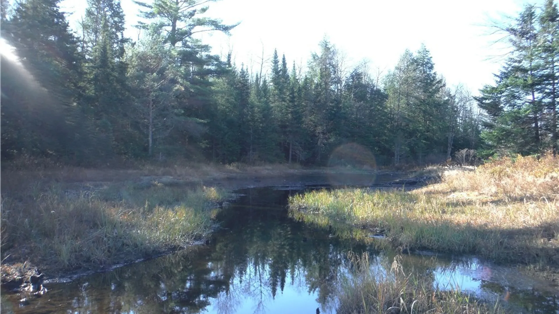 Property at 00X Buck Lake Road, Forestport, NY 13338 4