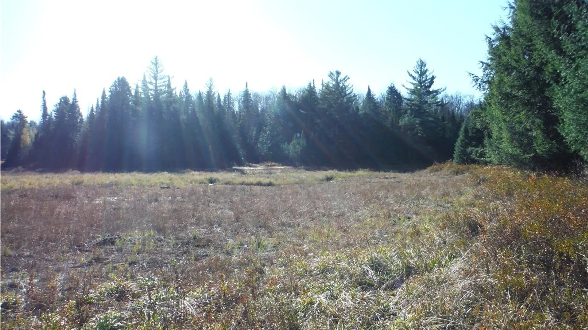 Property at 00X Buck Lake Road, Forestport, NY 13338 5