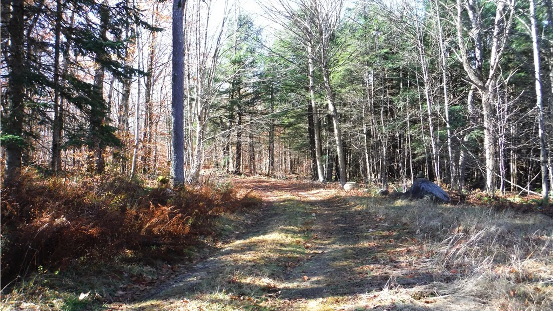 Property at 00X Buck Lake Road, Forestport, NY 13338 43