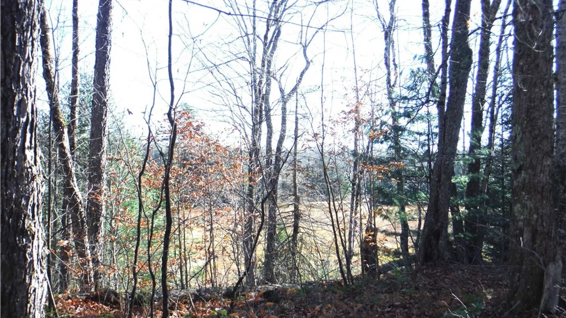 Property at 00X Buck Lake Road, Forestport, NY 13338 48