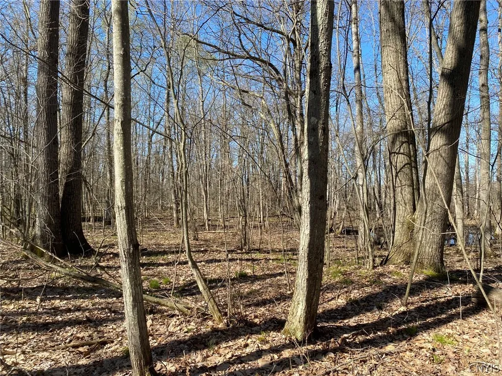 Property at 0 Spile Bridge Road, De Peyster, NY 13654