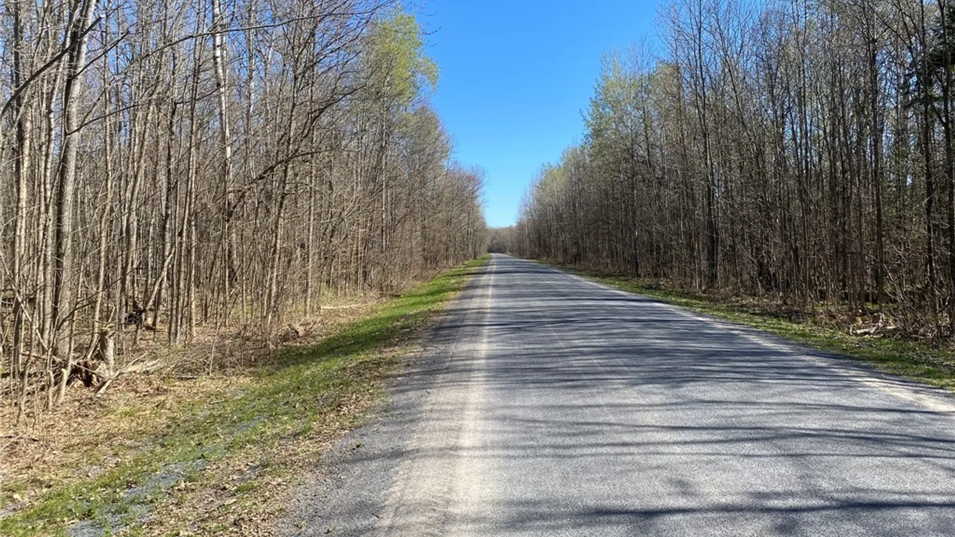 Property at 0 Spile Bridge Road, De Peyster, NY 13654 22
