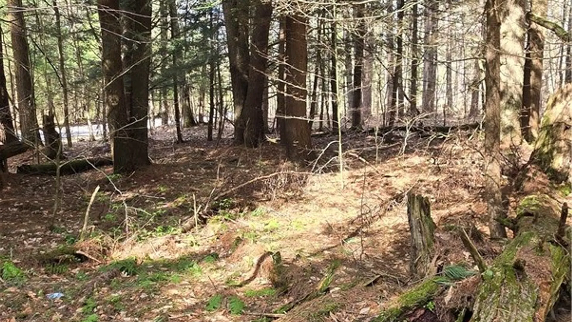 Property at Bliss Gulf Road, Milford, NY 13807 3