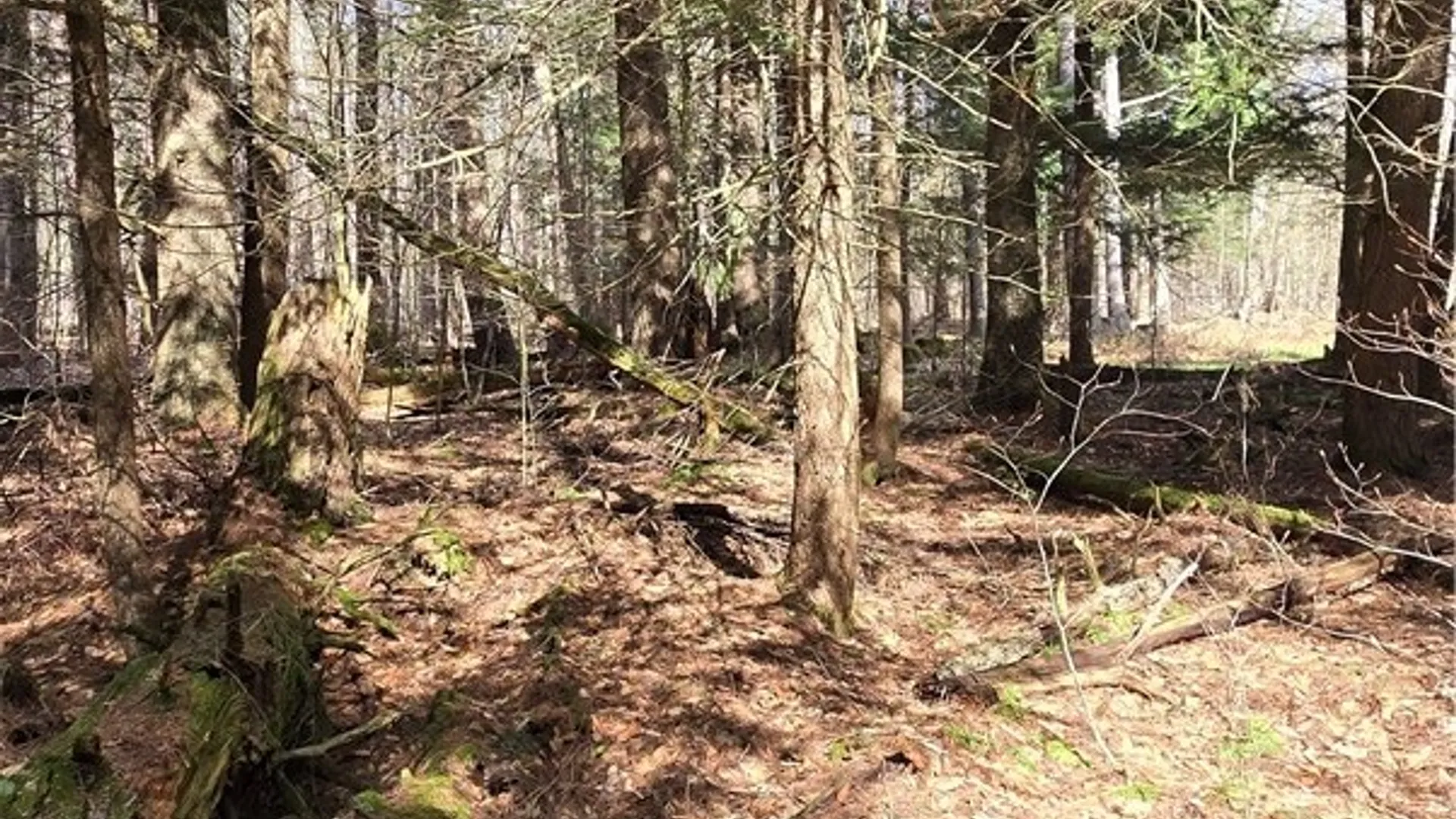 Property at Bliss Gulf Road, Milford, NY 13807 4