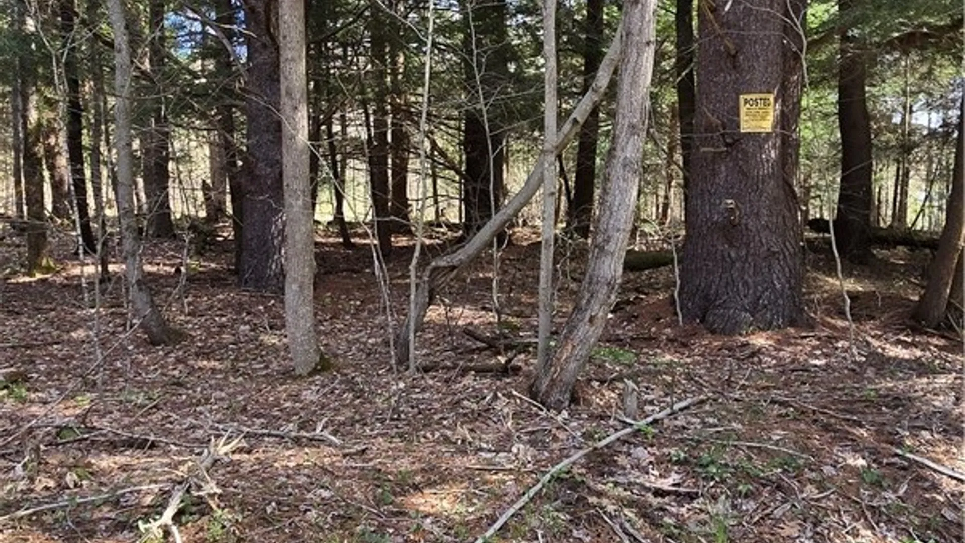 Property at Bliss Gulf Road, Milford, NY 13807 7