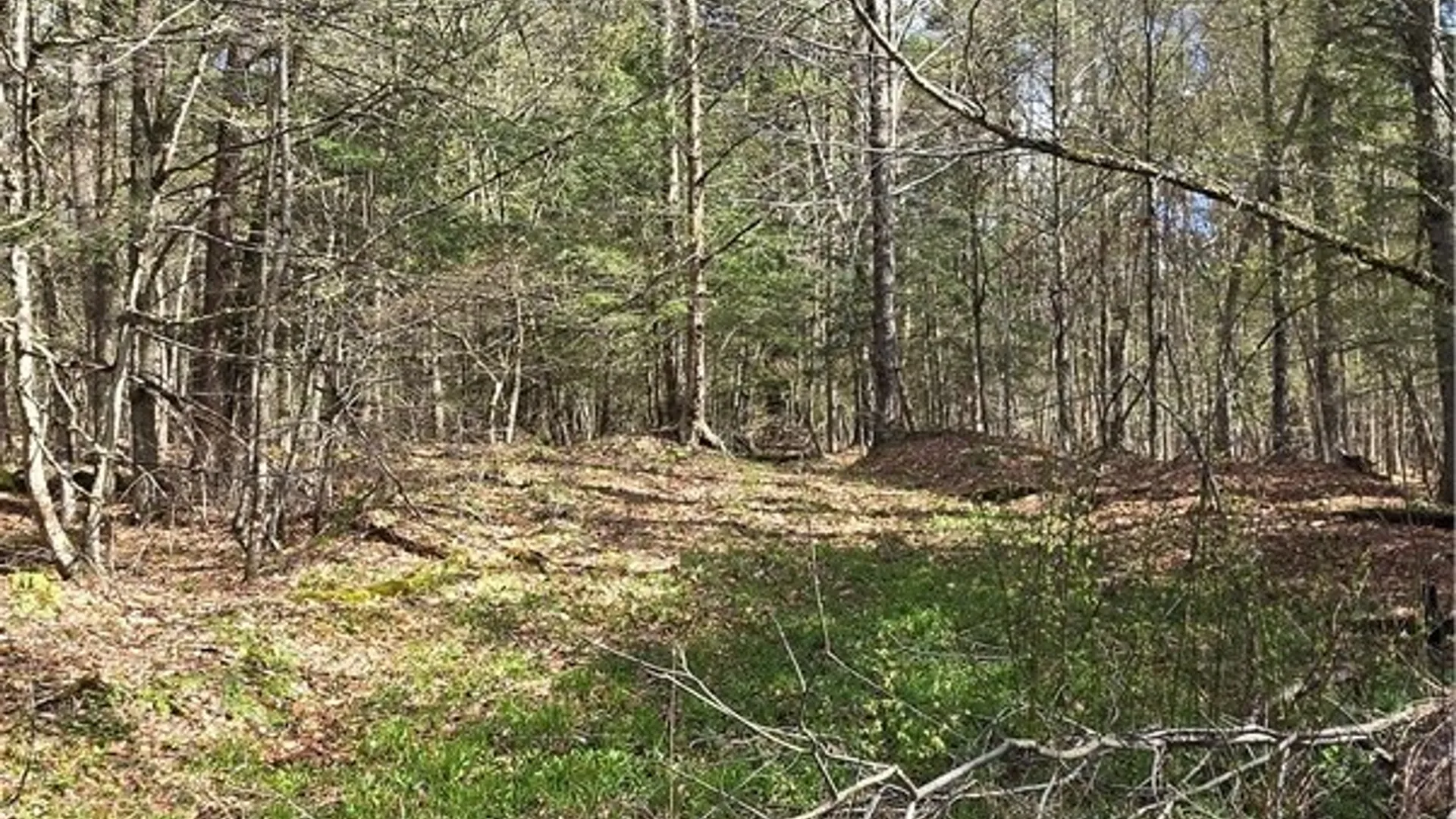 Property at Bliss Gulf Road, Milford, NY 13807 10