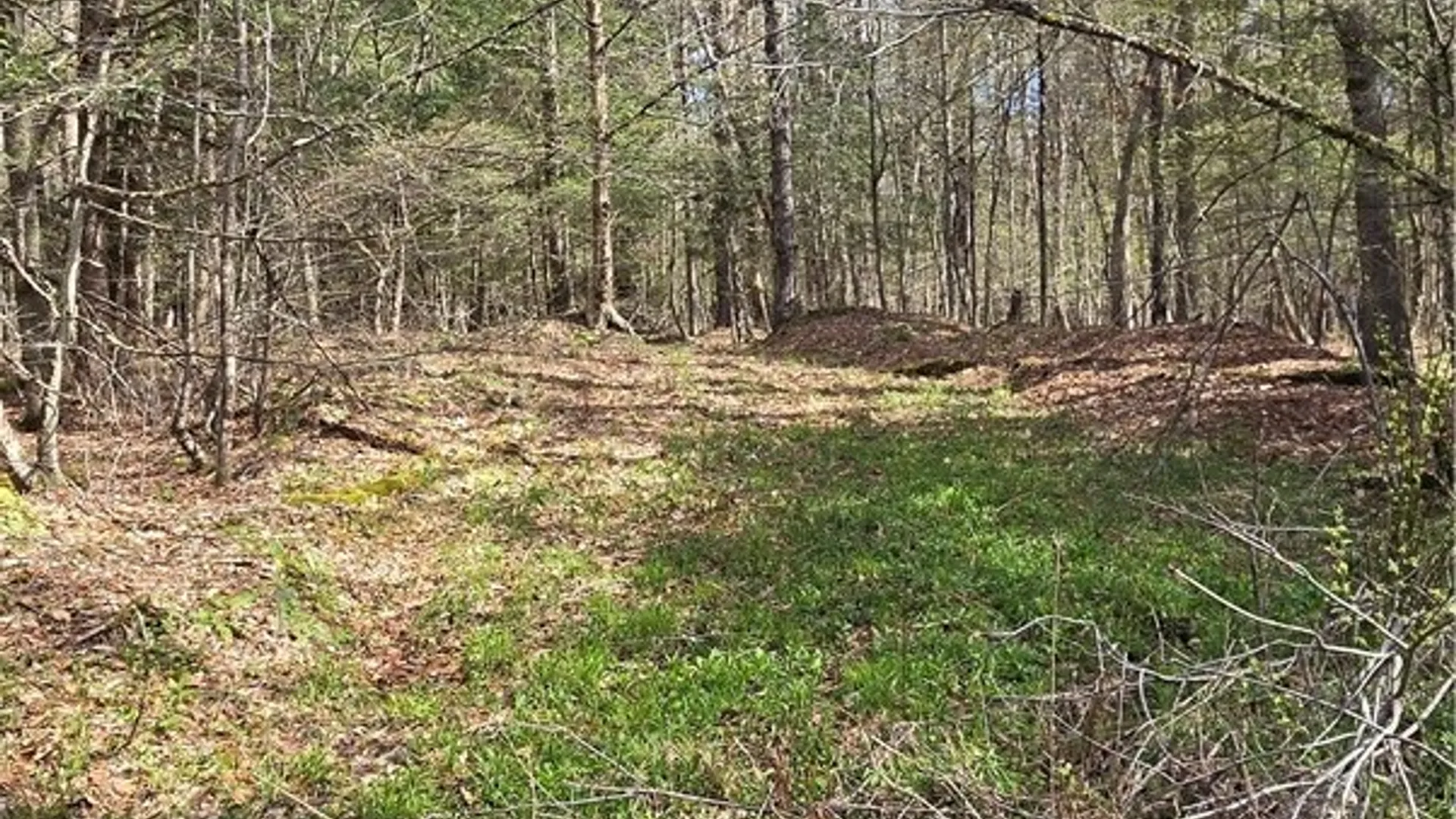 Property at Bliss Gulf Road, Milford, NY 13807 11