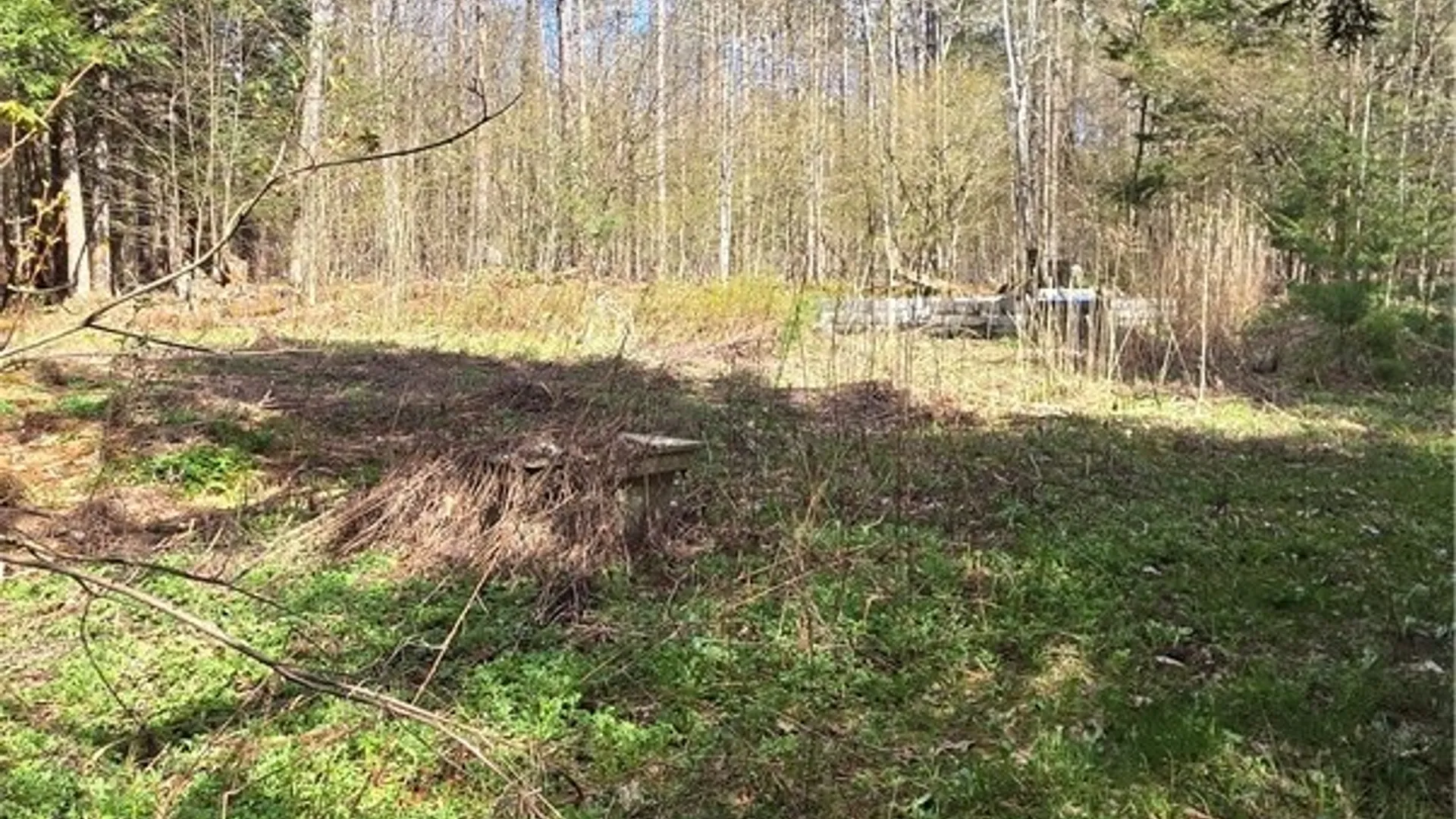Property at Bliss Gulf Road, Milford, NY 13807 14