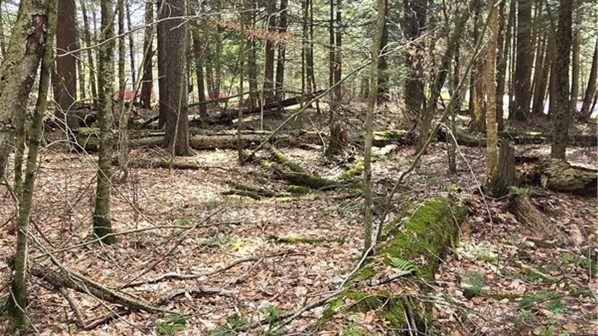 Property at Bliss Gulf Road, Milford, NY 13807 15