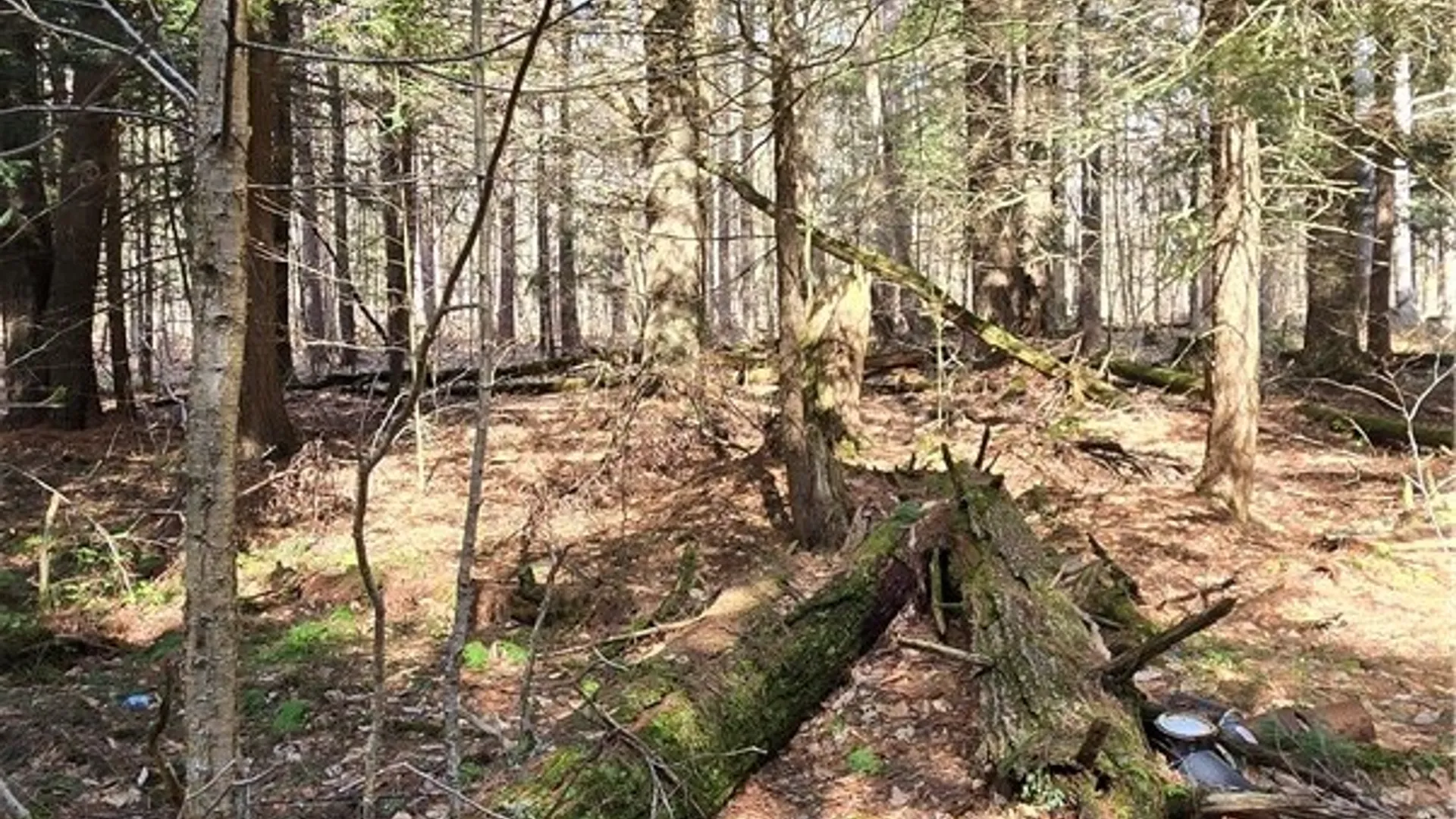 Property at Bliss Gulf Road, Milford, NY 13807 16