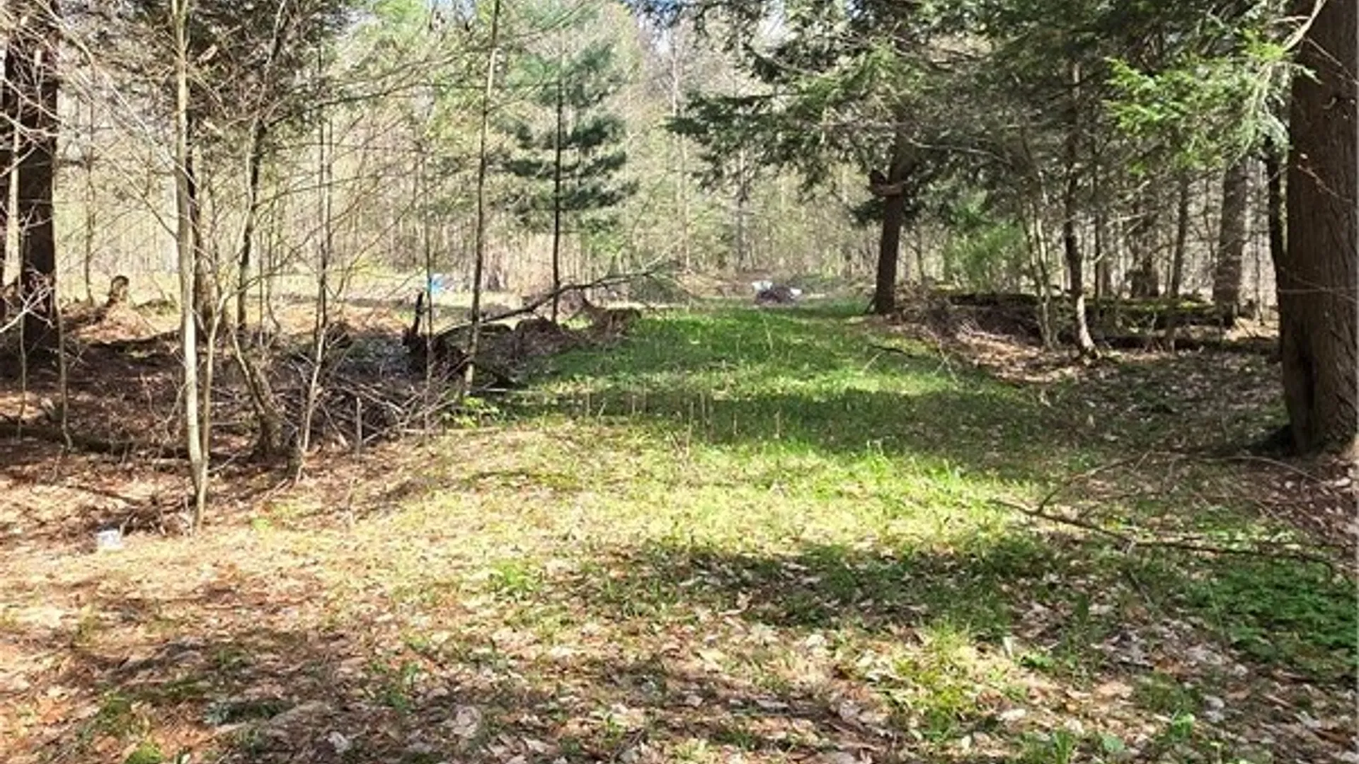Property at Bliss Gulf Road, Milford, NY 13807 17