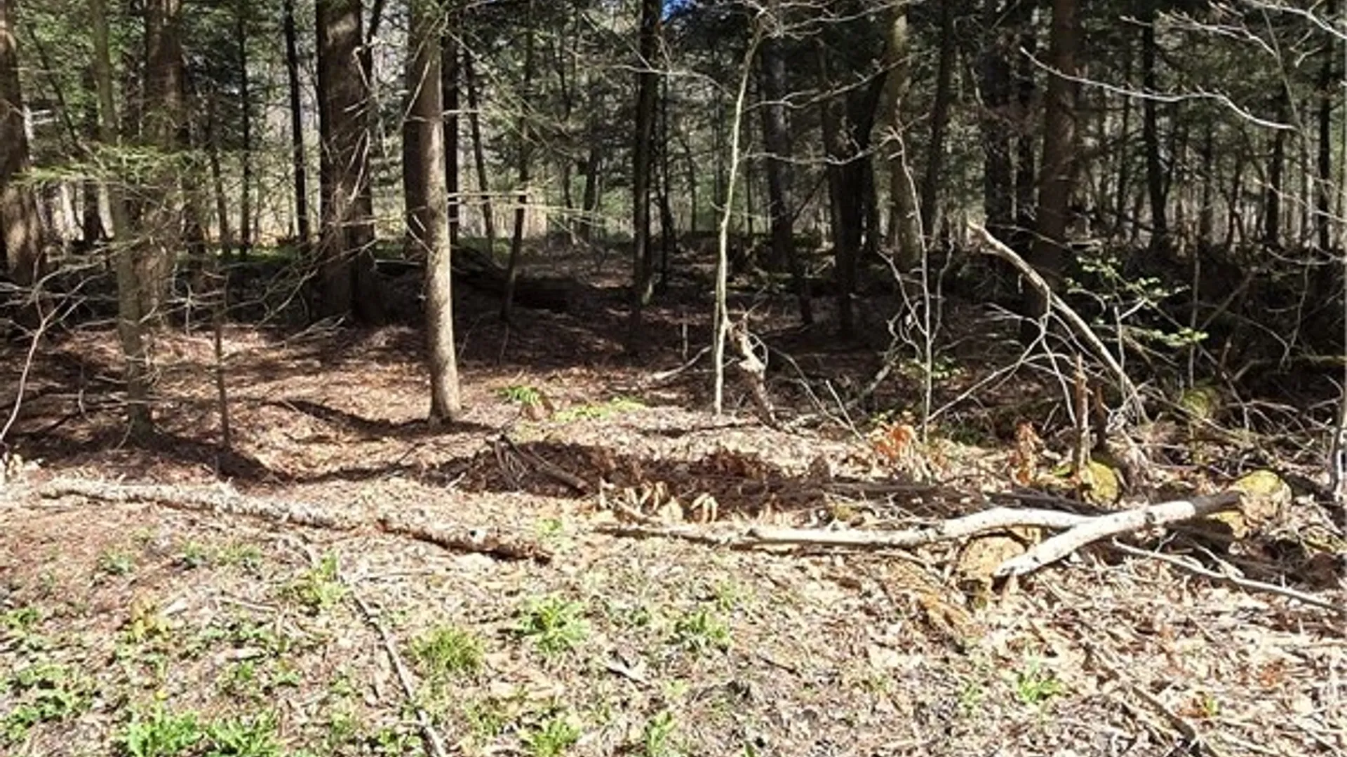 Property at Bliss Gulf Road, Milford, NY 13807 18