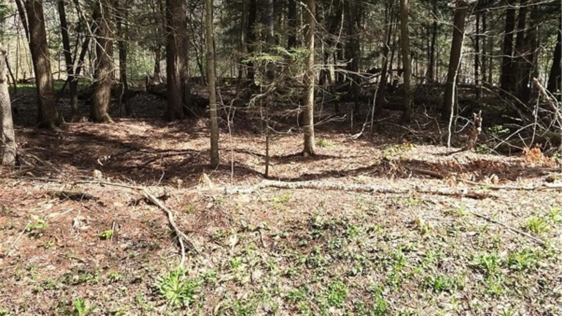 Property at Bliss Gulf Road, Milford, NY 13807 19