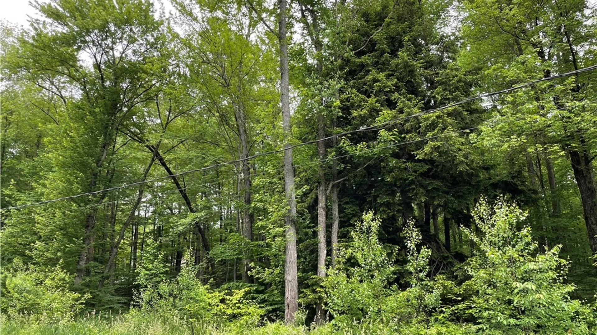 Property at 00 N Hillsborough Road, Amboy, NY 13316 3