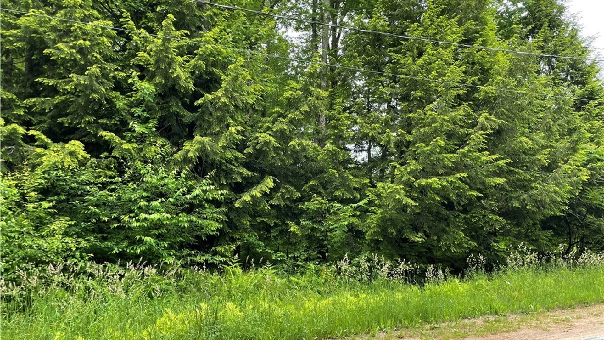 Property at 00 N Hillsborough Road, Amboy, NY 13316 4