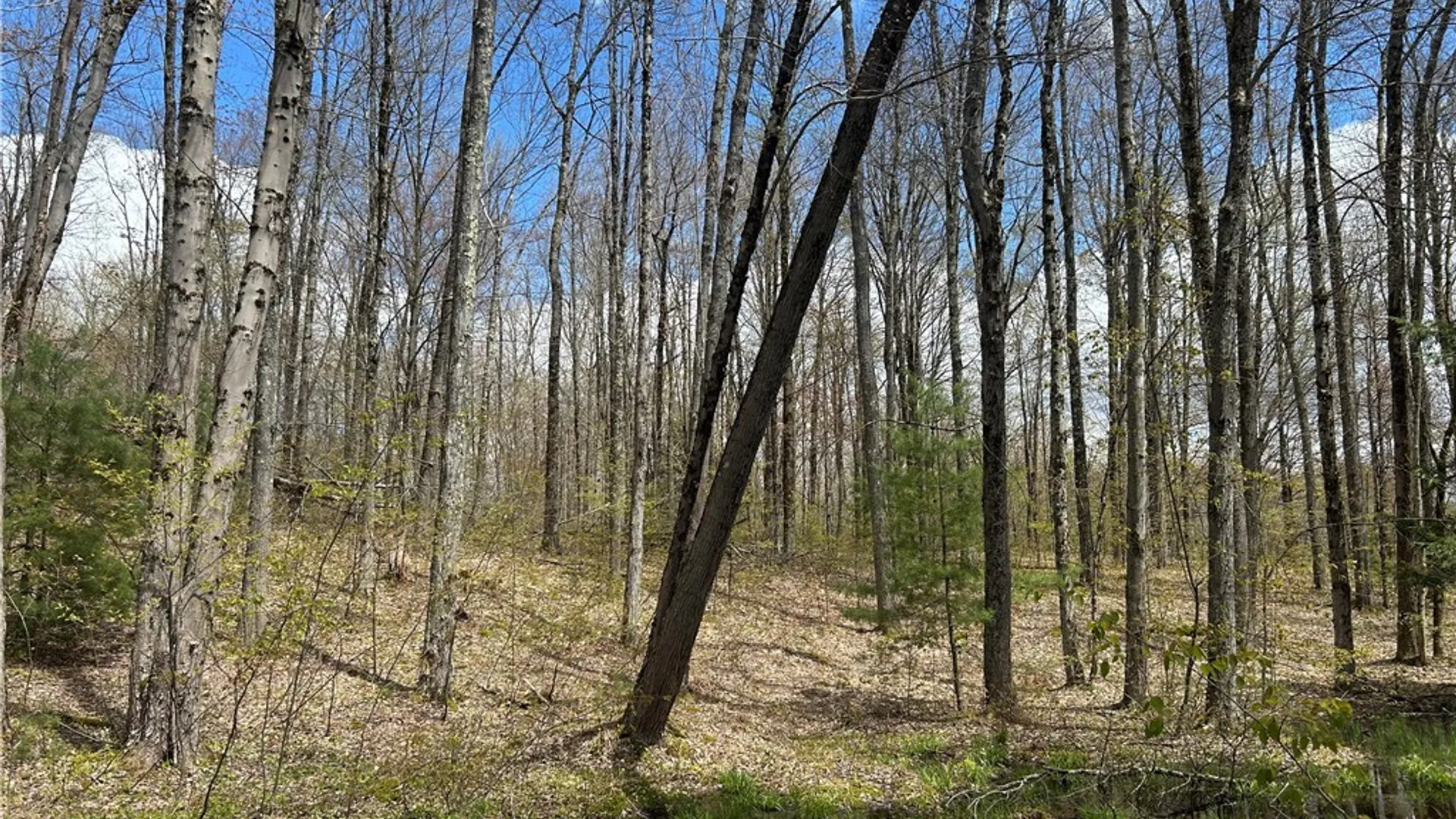 Property at 00 N Hillsborough Road, Amboy, NY 13316 7