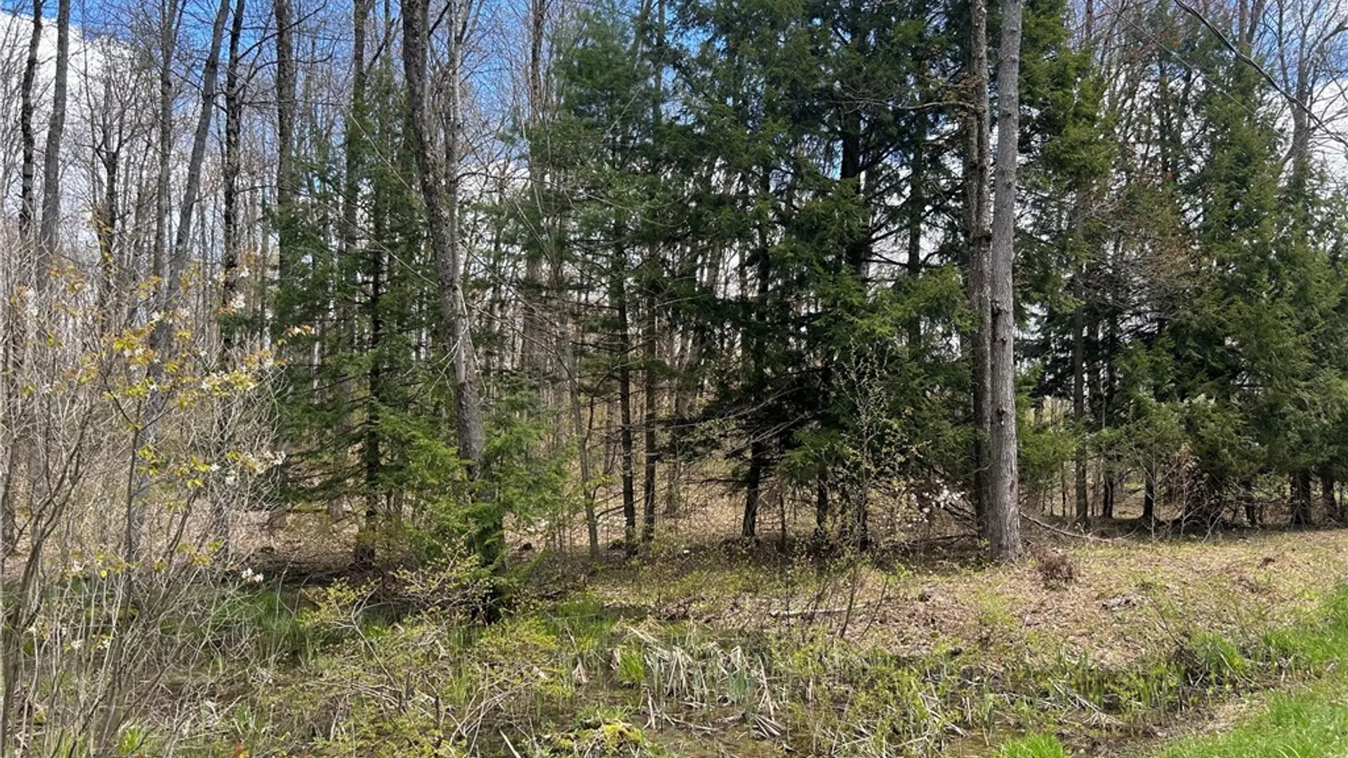 Property at 00 N Hillsborough Road, Amboy, NY 13316 9