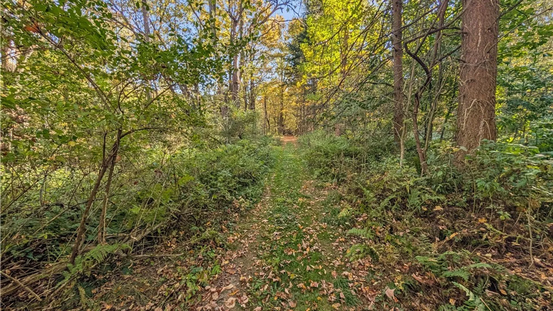 Property at 00 Pee Dee Road, Wethersfield, NY 14024 15