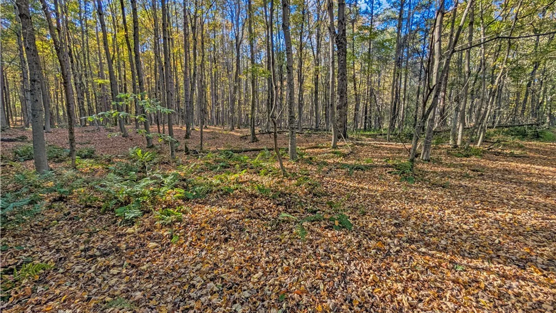 Property at 00 Pee Dee Road, Wethersfield, NY 14024 16