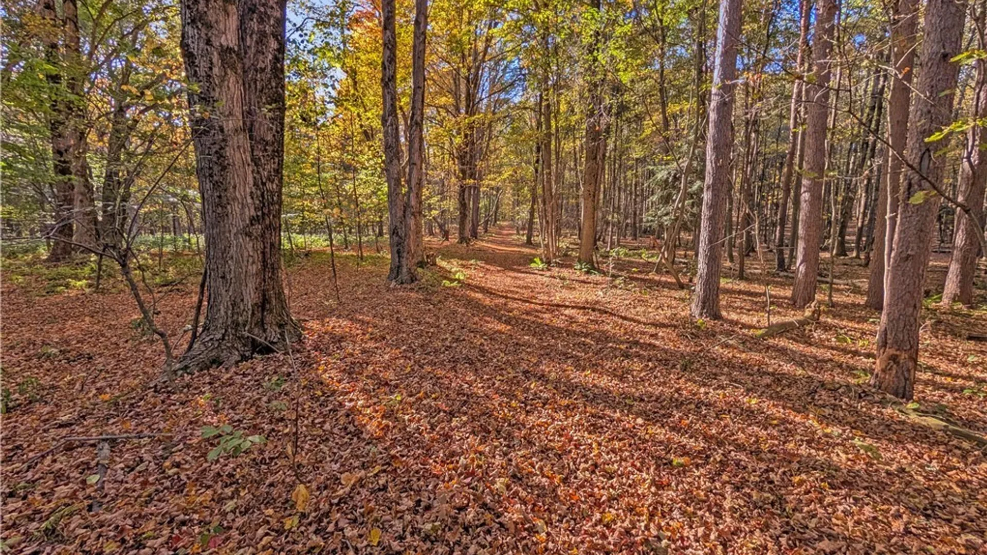 Property at 00 Pee Dee Road, Wethersfield, NY 14024 18