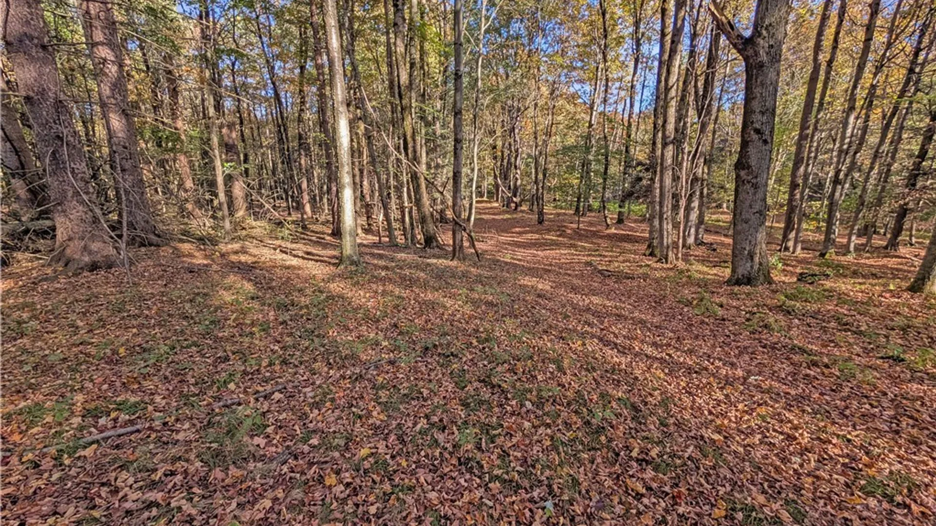Property at 00 Pee Dee Road, Wethersfield, NY 14024 21