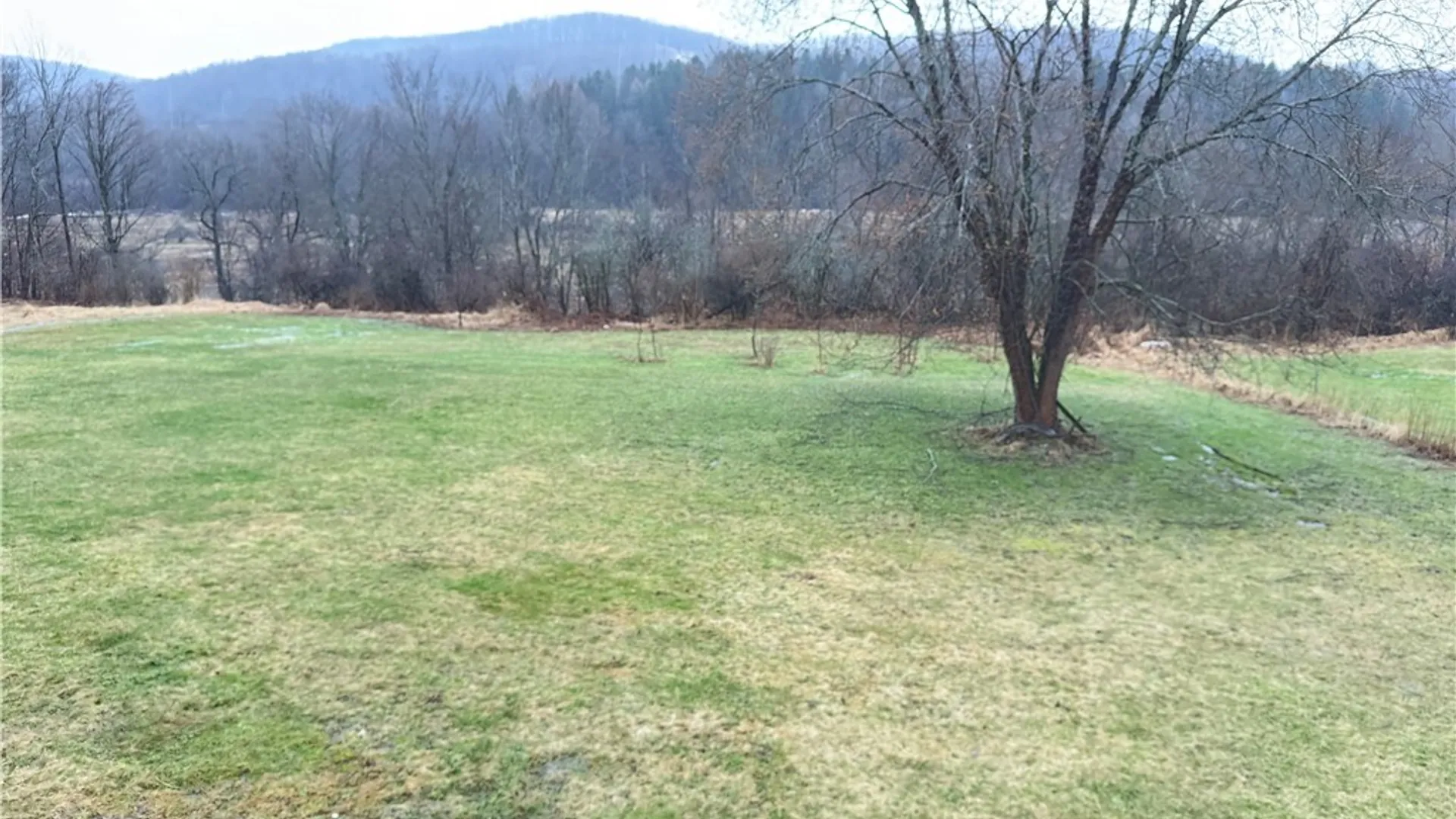 Property at 2415 Maple Avenue, Franklinville, NY 14737 17