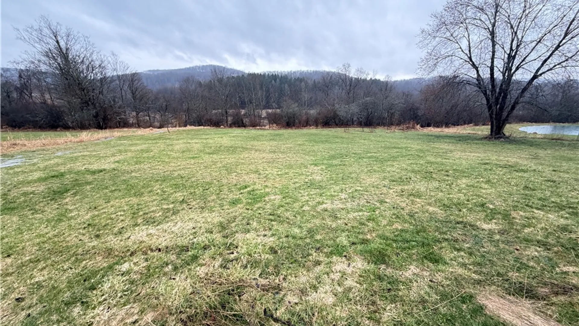 Property at 2415 Maple Avenue, Franklinville, NY 14737 18