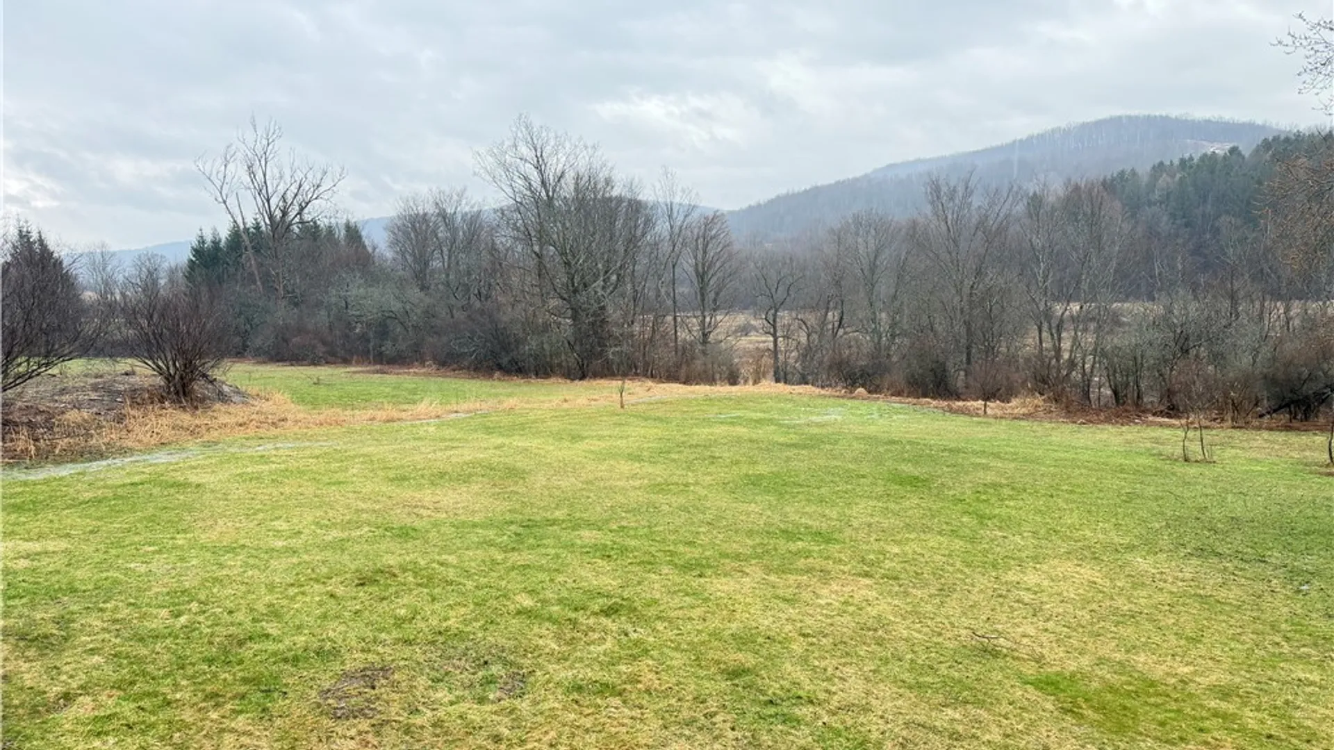 Property at 2415 Maple Avenue, Franklinville, NY 14737 19