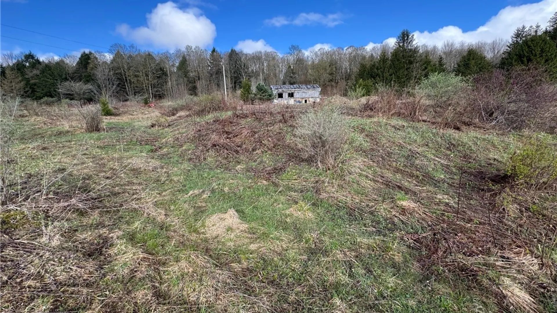 Property at 10233 Lamb Road, Brookfield, NY 13485 12