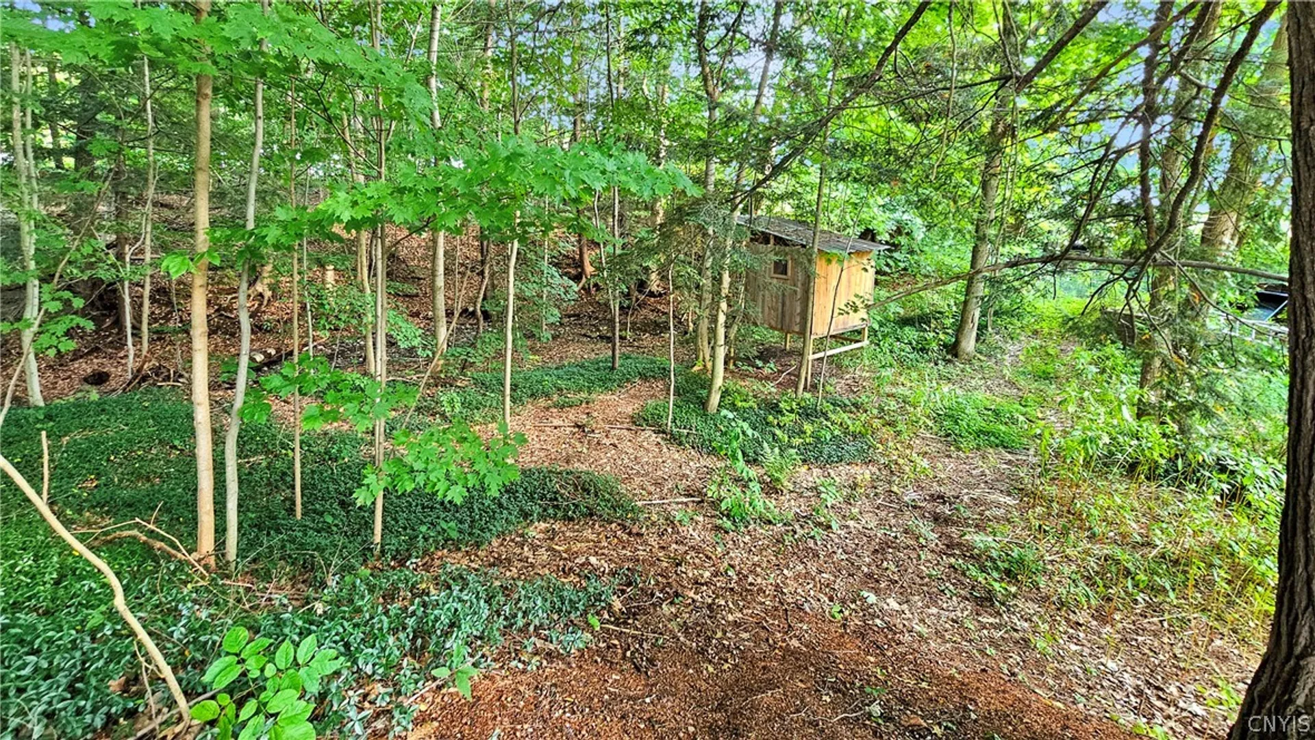 Property at 4046 Markham Street, West Turin, NY 13368 39