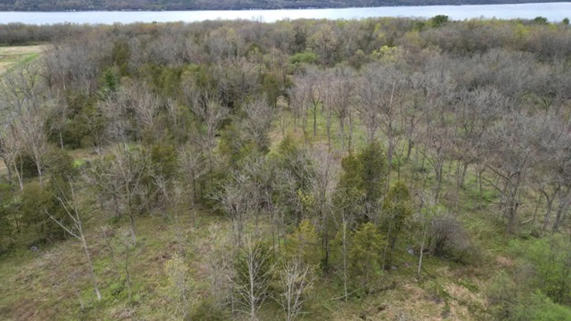 Property at Parcel 2  9750 Route 414, Lodi, NY 14860 5