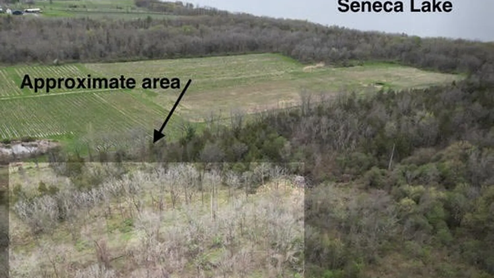 Property at Parcel 2  9750 Route 414, Lodi, NY 14860 7